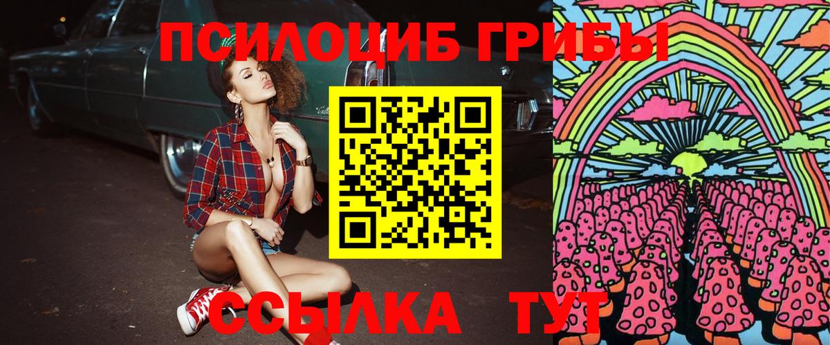 Галлюциногенные грибы мицелий Павлово