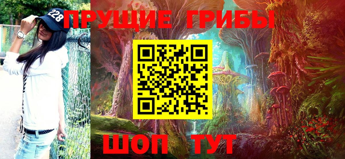 Галлюциногенные грибы MAGIC MUSHROOMS  Галлюциногенные грибы прущие грибы  Павлово  Вход с VPN 